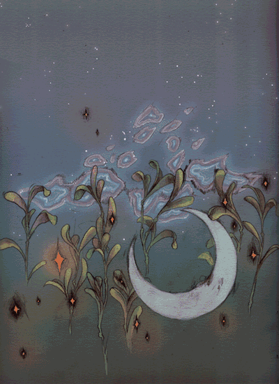 no dust in the wind