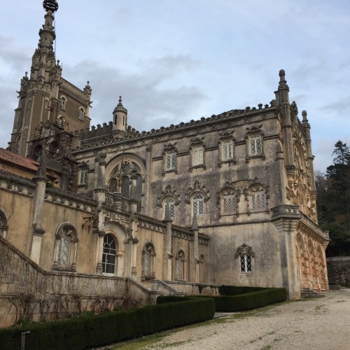 Stepped into a fairytale castle the other day&hellip;Bucaco Castle, Luso, Portugal 01.01.2017