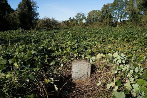blackartdepot:It’s sad to hear how many historic African American cemeteries are neglected hav