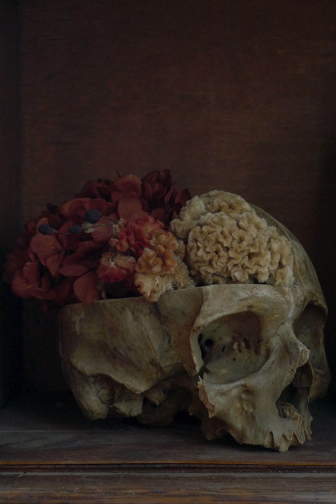 obsessedwithskulls:Clever!