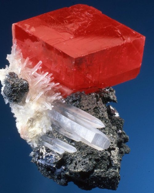 rockflavors:geologyin-blog:This specimen helps illustrate why Sweet Home Mine rhodochrosite is famou