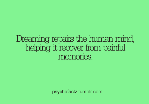 psychofactz:  More Facts on Psychofacts :)  I wish I can dream :C 