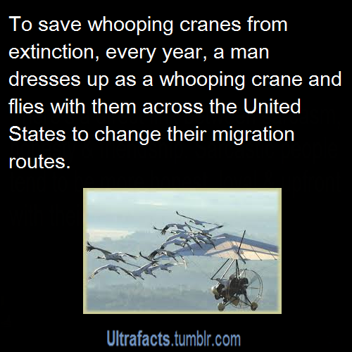 ultrafacts:  Source For more facts follow Ultrafacts