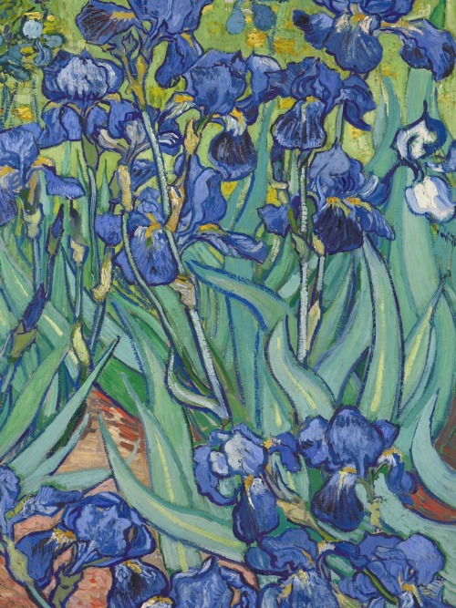 goodreadss:Irises (detail), Vincent Van Gogh, 1889 Claude Monet, Water-Lilies