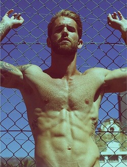 Andre Hamann