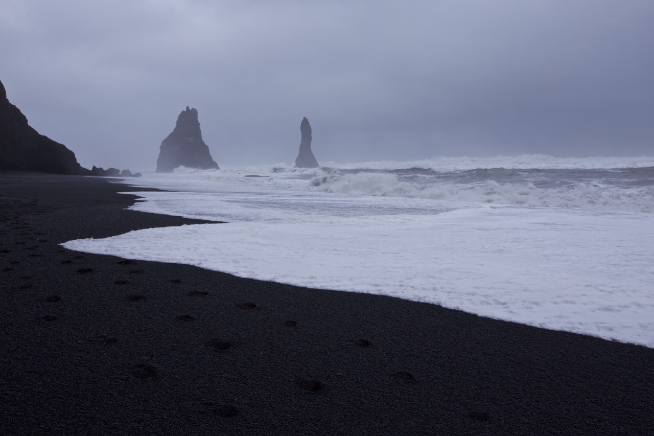 imlookingforamiracle:  Black Sand Beach in Vik, Iceland. Most amazing place I have