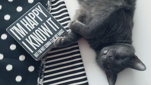 beckisbookshelf:  Guys, Fred has something to say.