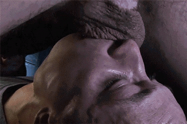 brisbanemaster:  Good boy, fagAll the way down