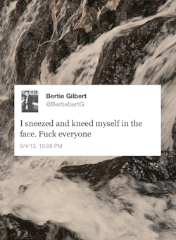 chaotic stupid