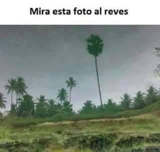 jonbonjovicw:  D: