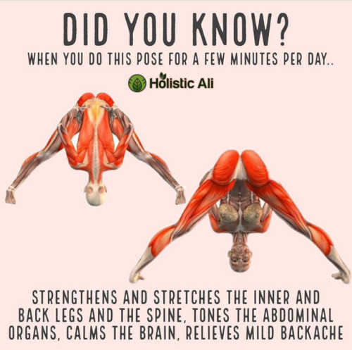 ho-ho-ho-things: goldensweetcheeks: se0ctopus: Yoga is good So basically just have sex involving t