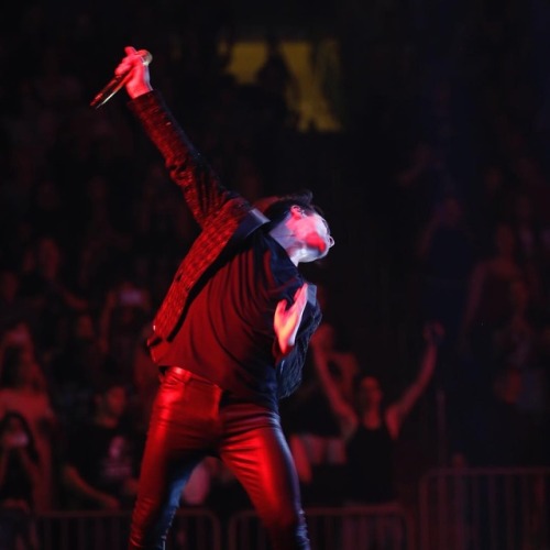 brendonuriesource:thegarden: Welcome back @panicatthedisco! #PATDMSG (: Carly Boyle/MSG Photos)