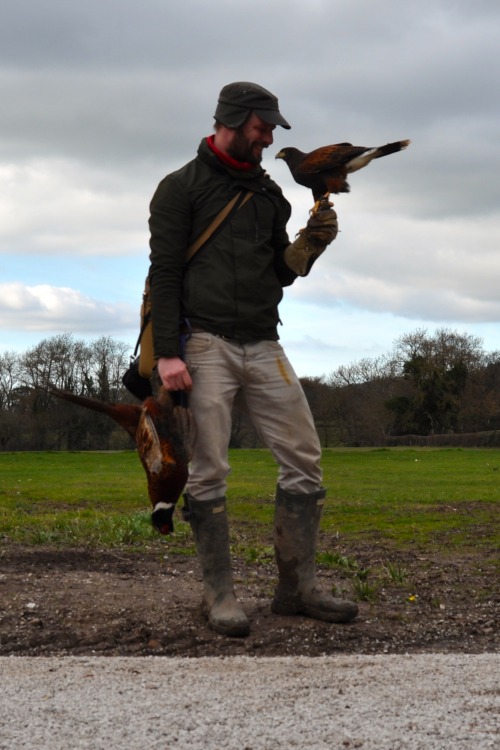 falconry-experiences:I’m not normally one for a kill selfie, but it was Alan’s first pheasant in a w