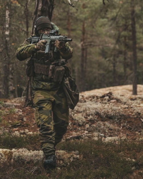 Swedish Air Force security company.