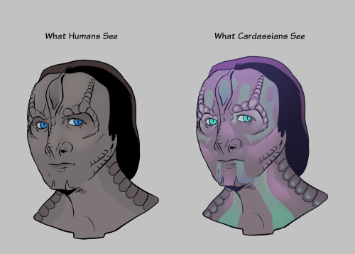 starshiplamaupin:I had some ideas about what Cardassian vision might be like. Of course this goes al