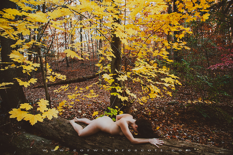 corwinprescott:  “Into The Wild”Philadelphia, Pa 2014  Corwin Prescott - Nicole