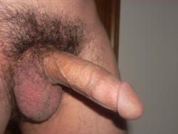 biblogdude:  FOLLOWER SUBMISSION: If you share this. That would be hot. I want everyone to see my dick. hope you enjoy ;) Thanks for the posting. Hell Who wouldn’t want to taste that dick!!