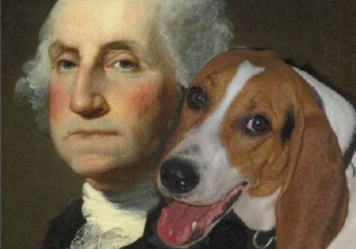 rainbowrites: ultrafacts: Washington’s affection for dogs is vividly illustrated in an inciden