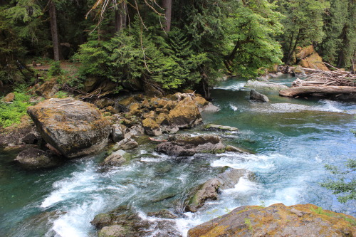 burningmine: Skokomish River, Olympic National Park 7/16/17