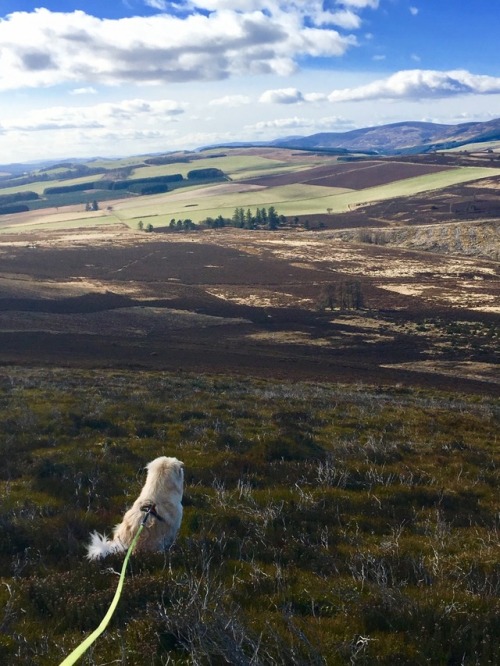 checking out the viewAngus, Scotland, March ‘17