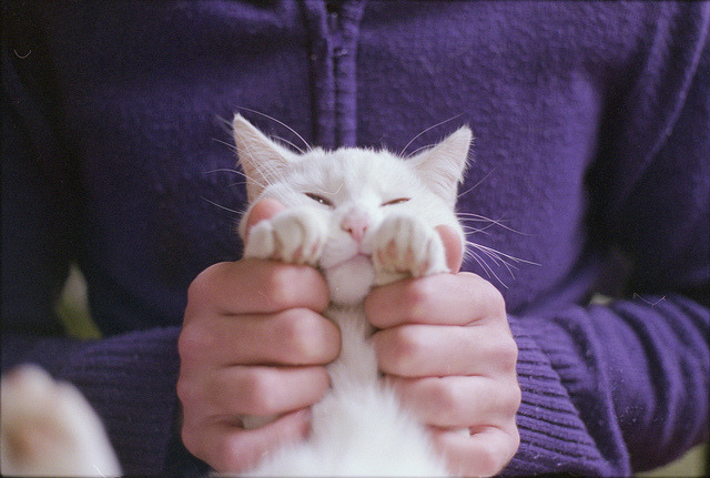 theanimalblog:  D’aww. Photo by 333bracket