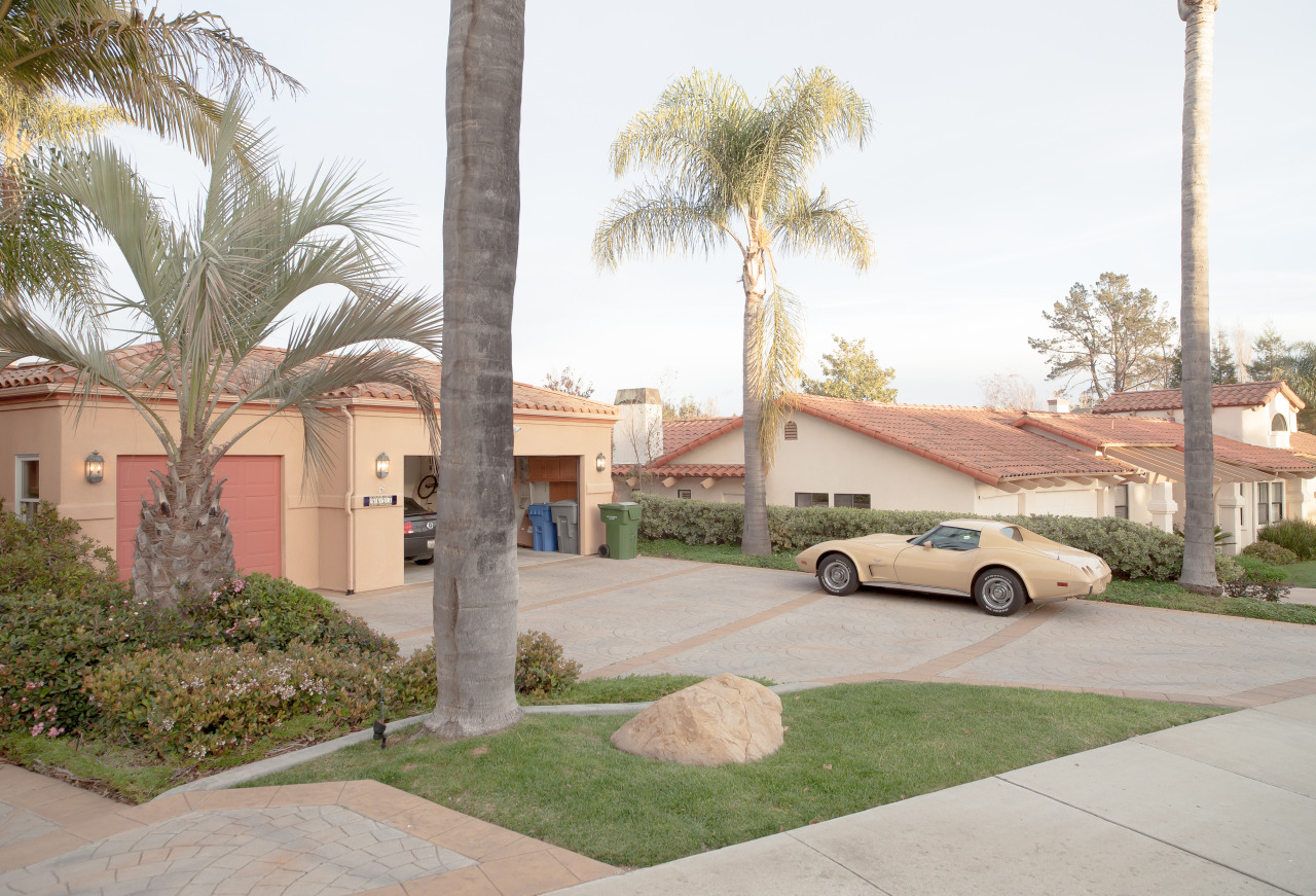 nowness:  Sightseeing in Suburbia Larry Letters and Lane Coder capture beauty in