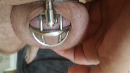 chastityregistry:My modified, shorter jailbird from mature metal.