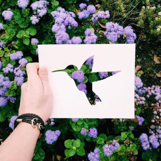 taichi-kungfu-online:  Art is from life! 