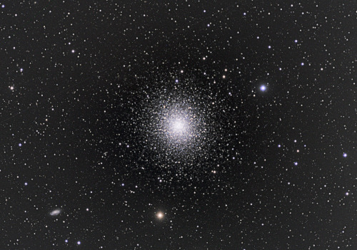 galaxyshmalaxy: M13 Hercules Globular Cluster (by Daniele Malleo)