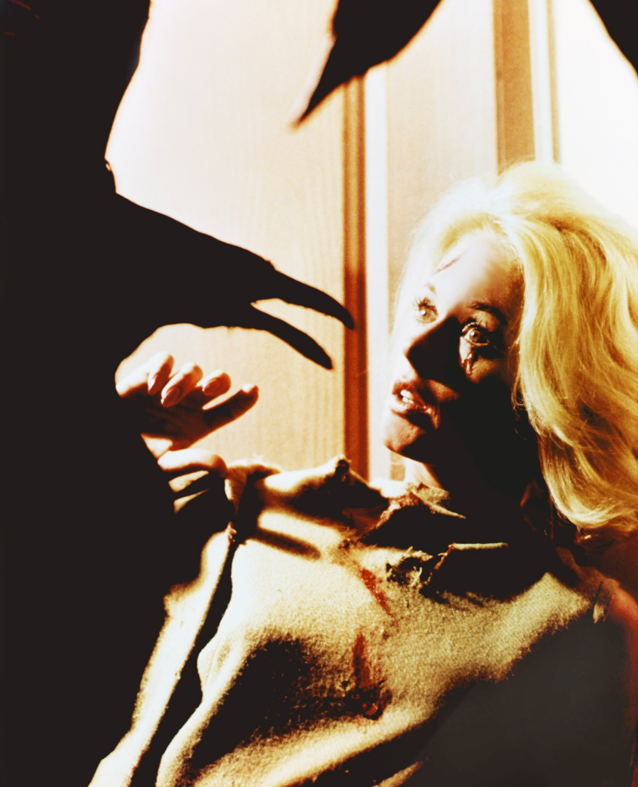 pillowcase-white:  Tippi Hedren in The Birds, 1963 