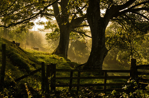 bluepueblo:  Forest Gate, Wales photo via allthings