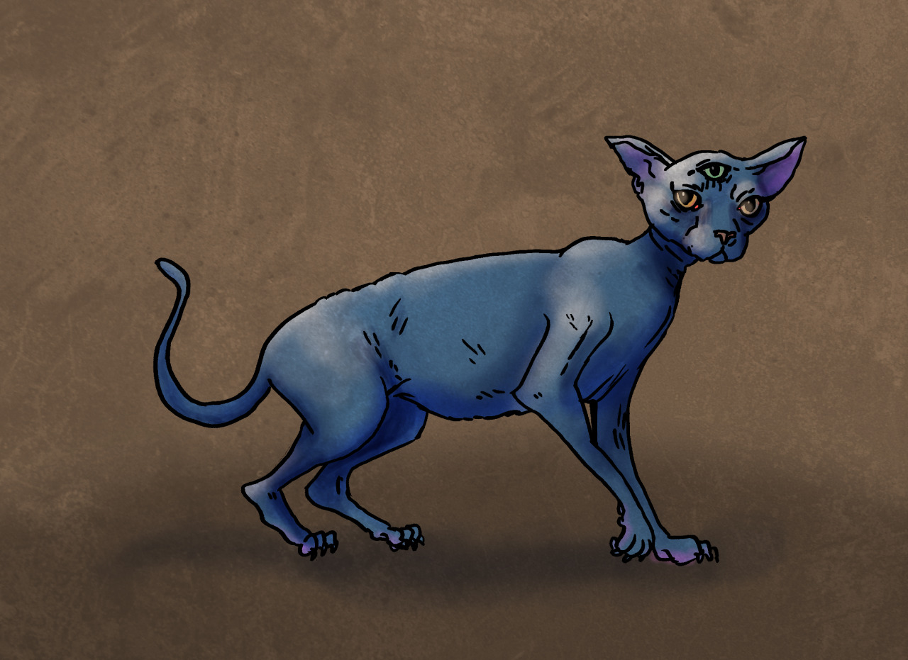The Seer Cat. Another monster in the Hazards and Horrors lineup.
