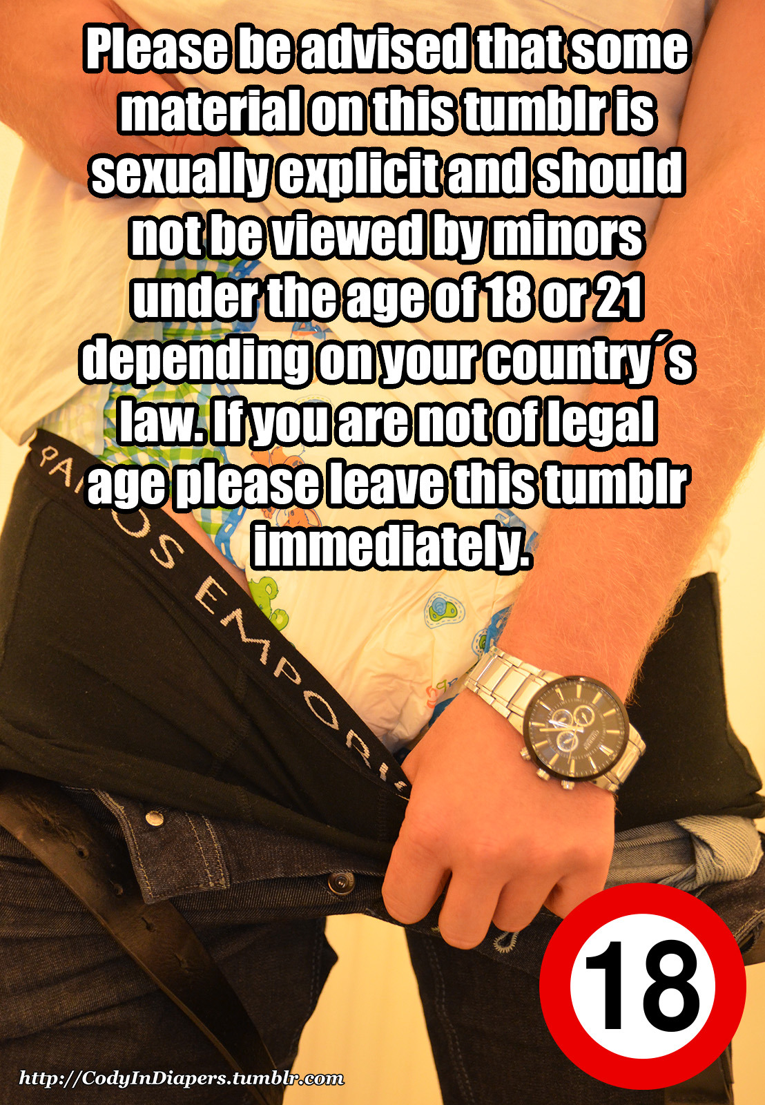 codyindiapers:Protecting minors on the web! Do you have sexual material on your tumblr?