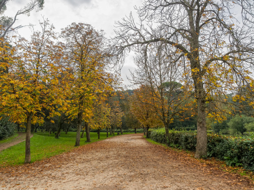 L’autunno a Villa Ada.Roma, novembre 2016