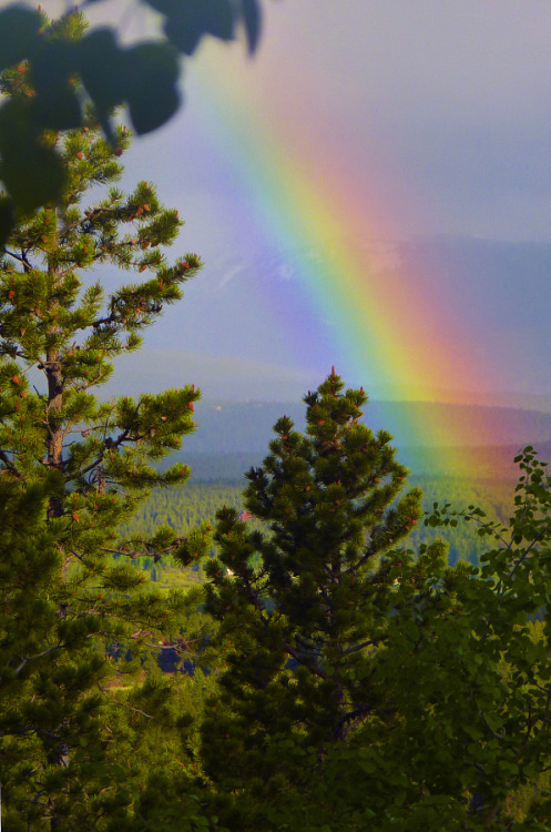 landerscape:  Rocky Mtn Morning Rainbow, Closeup by Erik Hjelt on 500px.com