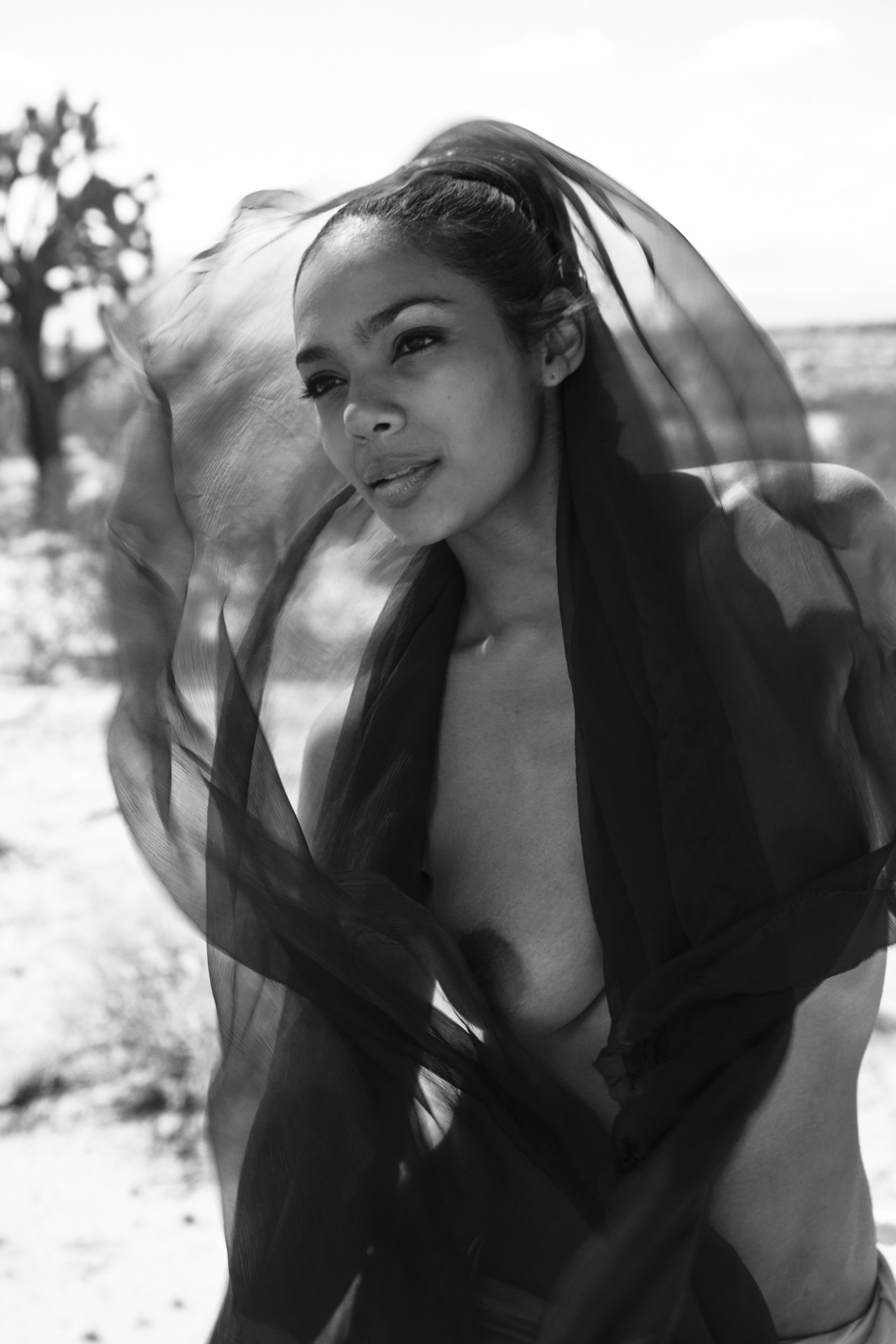 stmerrique:  by Sean Goodman