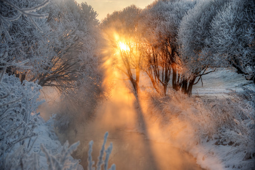 melodyandviolence:January Morning - St. Petersburg by Ed Gordeev