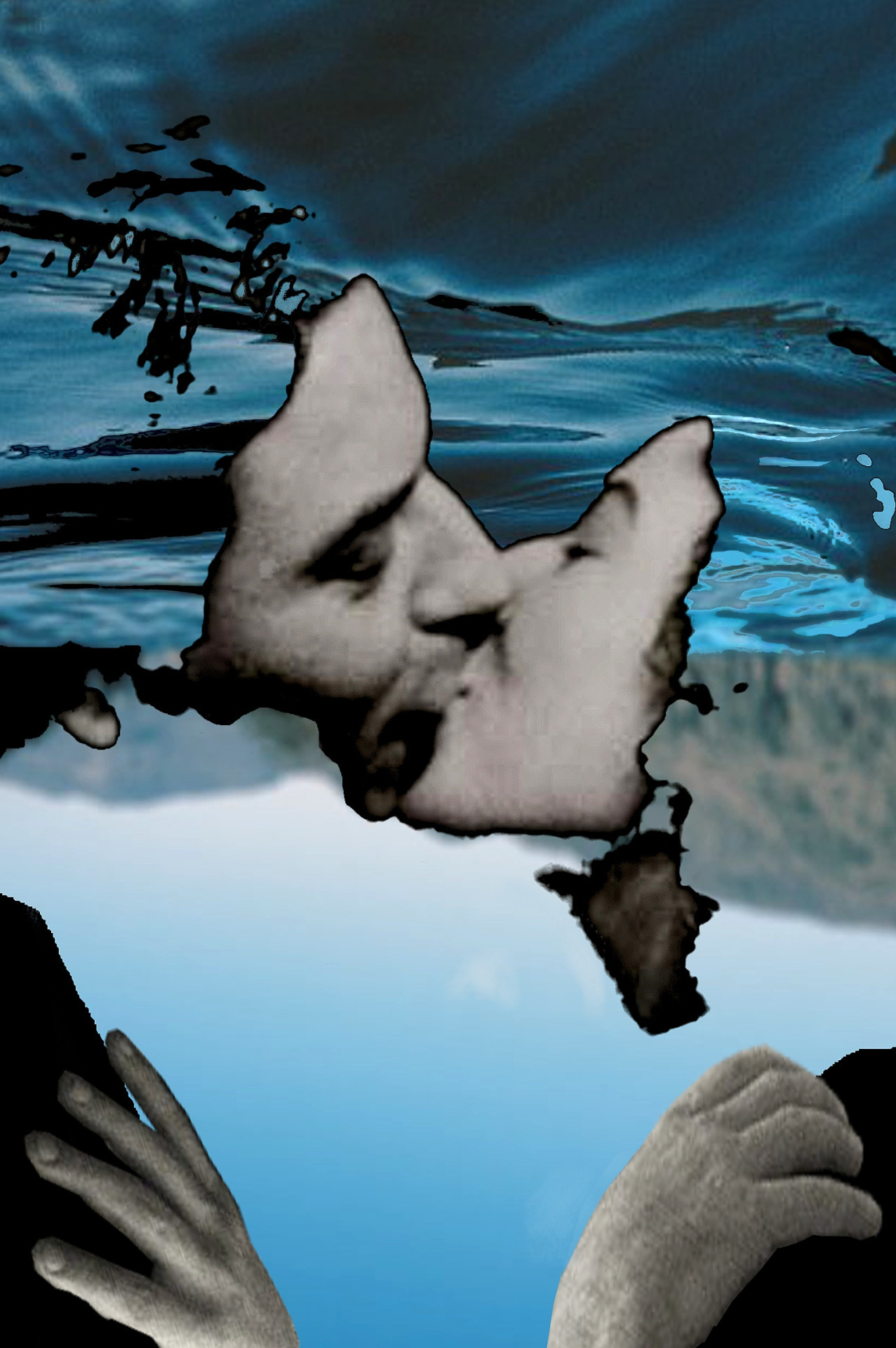 asylum-art-2:  Beautiful Photo collage by the famous Loui JoverSaatchi Art,  Facebook,