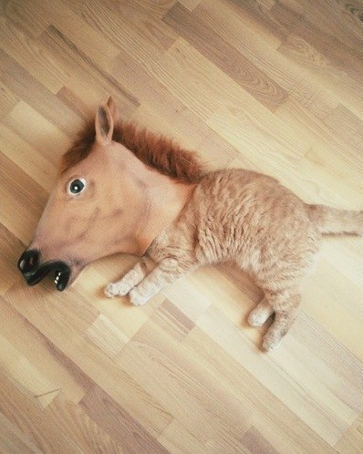 SomeCuteThing
