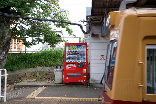 穴生駅 (Anoo Sta.) 3 by wakyakyamn on Flickr.