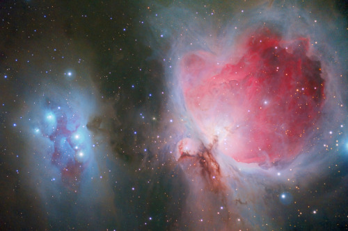 onyxcrown: (via 500px / Photo “Orion and Running Man Nebulas” by Carl Rainer)