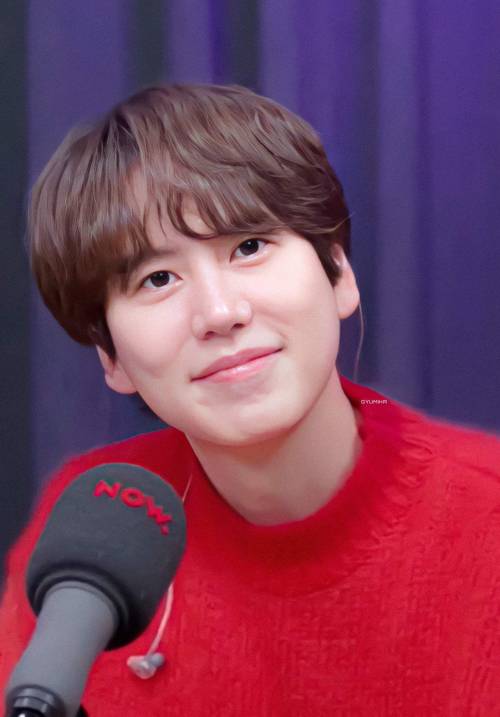 elf-sj-oppa