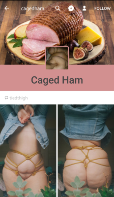 tiedthigh:  this blog has only reblogged