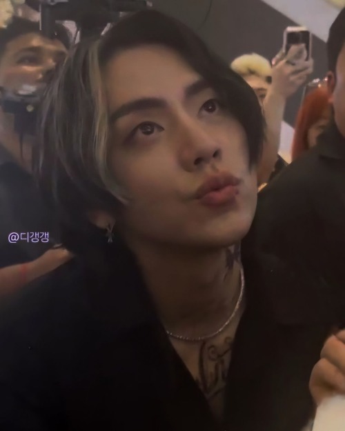 hwasddeongbyeoli - cherry