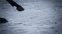 Raise-The-Rail:  Source Video Please Do Not Remove.