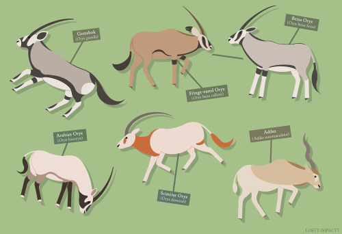 Bovidae (Antelopes, Cattle, and Goat-Antelopes)*didn’t include ranges for arabian or scimitar oryx a