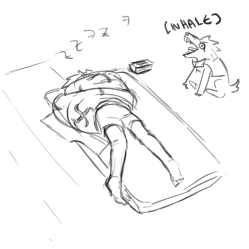 Stream Nonsense 