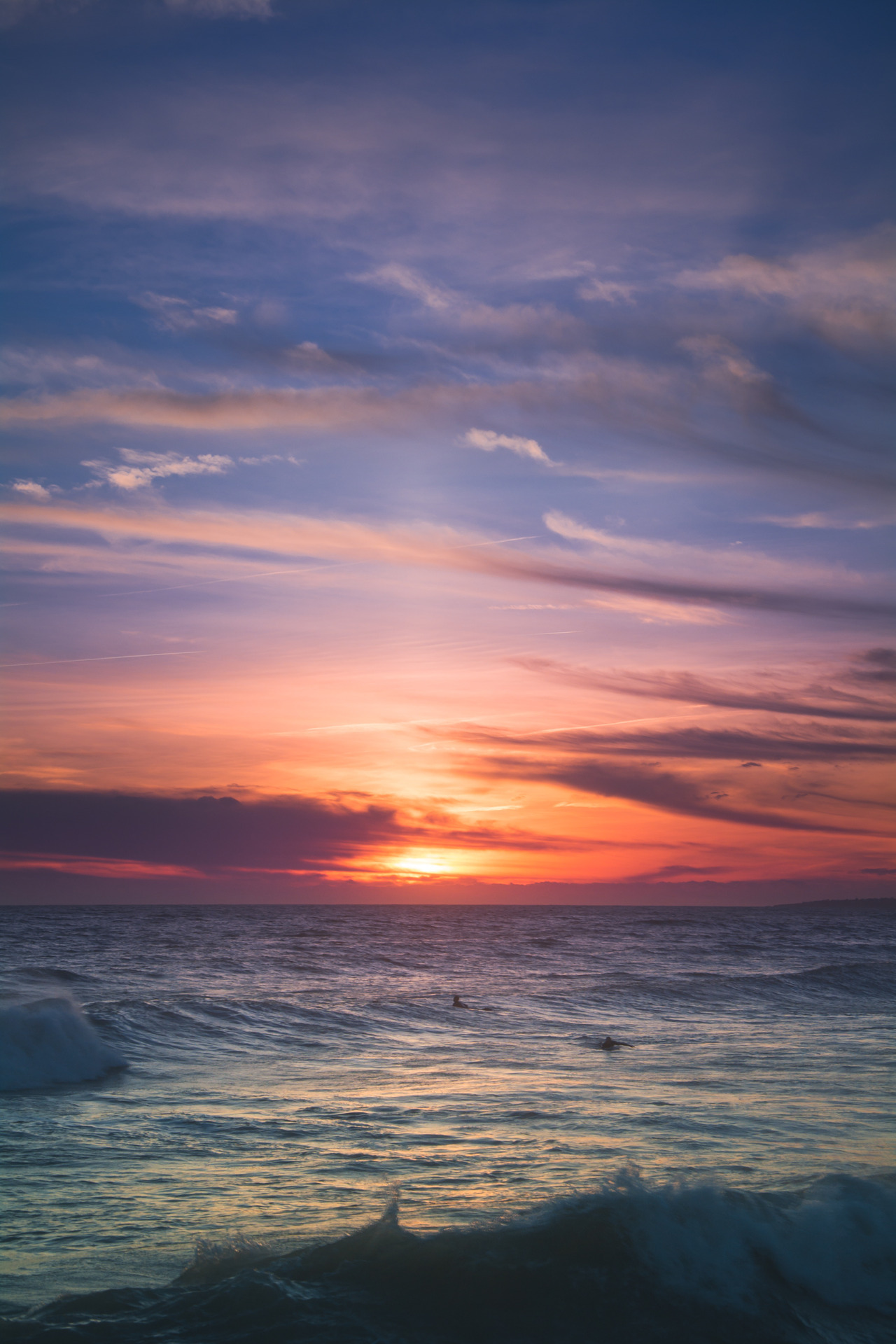 pedromgabriel:  - Spring is back - by Pedro Gabriel