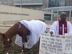 Lgbtlaughs:   A Baptist Pastor Staged A Mock One-Man, One-Horse Wedding Outside A