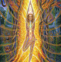 fakecocaineofficial:  Alex Grey 